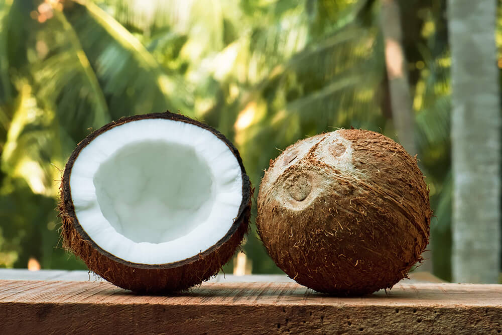 photo d'une noix de coco