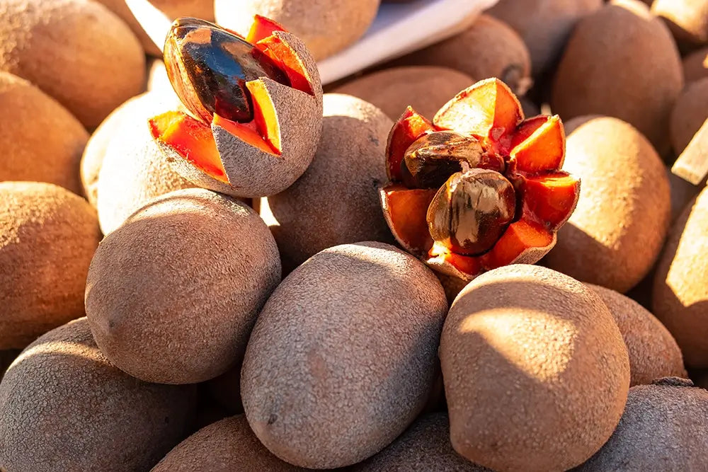 photo du fruit sapote