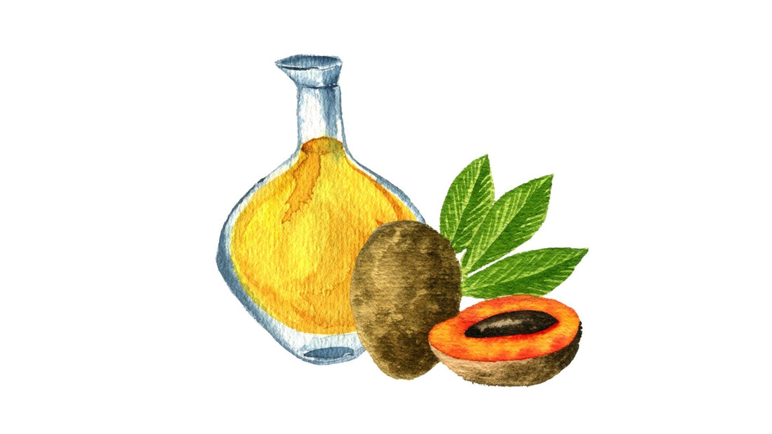 L'huile de Sapote