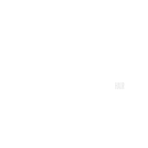 logo estetica