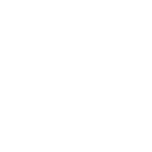 logo femina